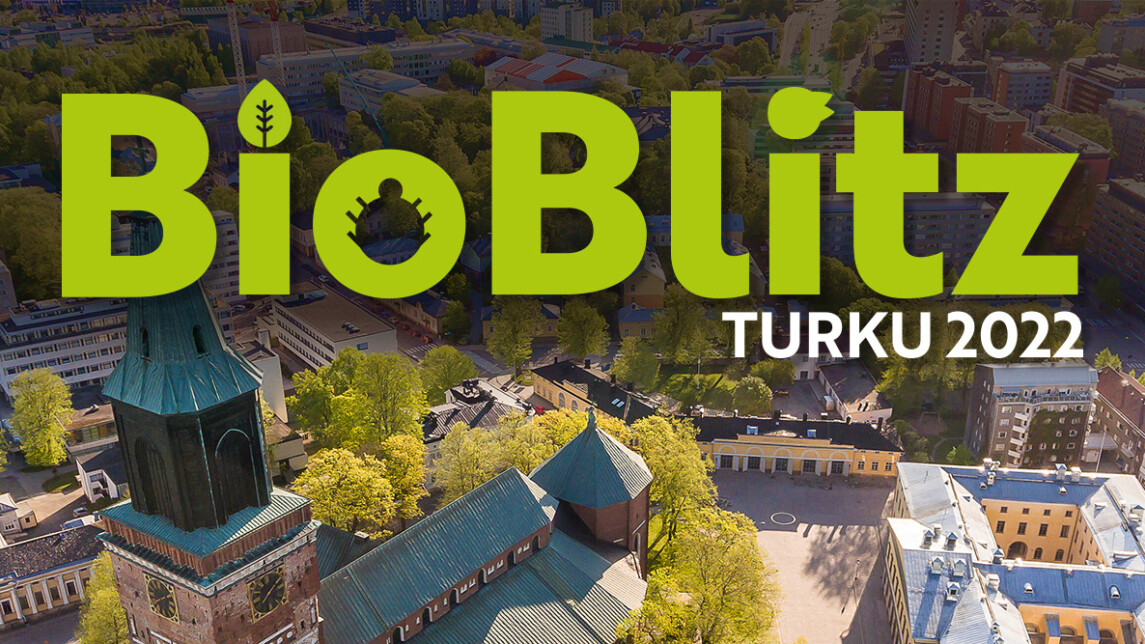 Bioblitz teksti ilmakuvan päällä jossa tuomiokirkka ja kampusaluetta. 