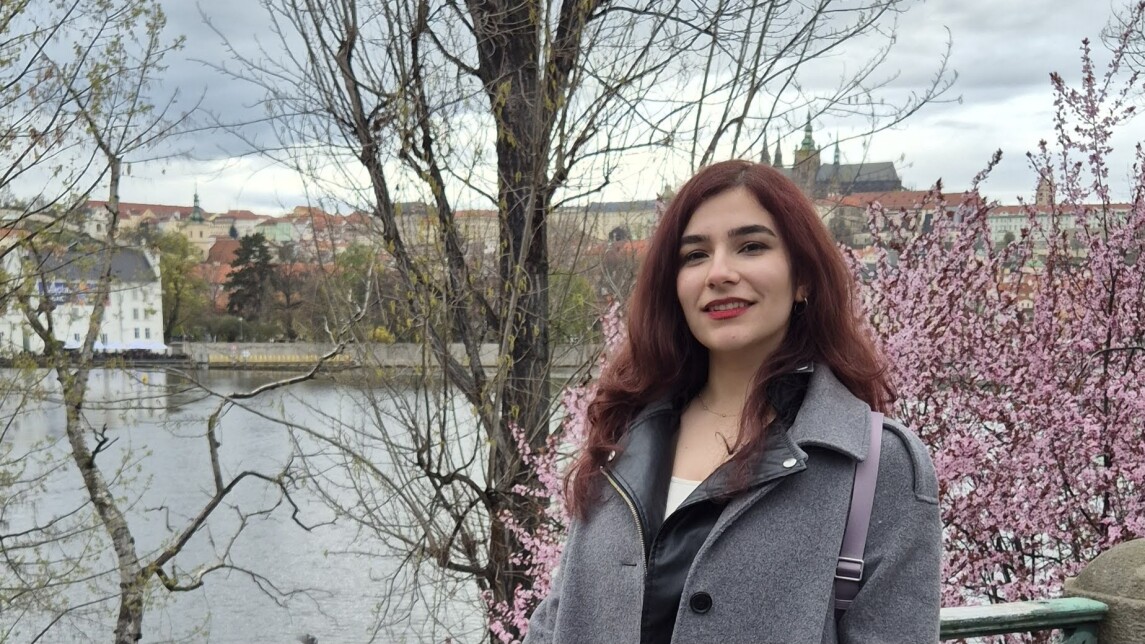 Muotokuva Negin Gooran 