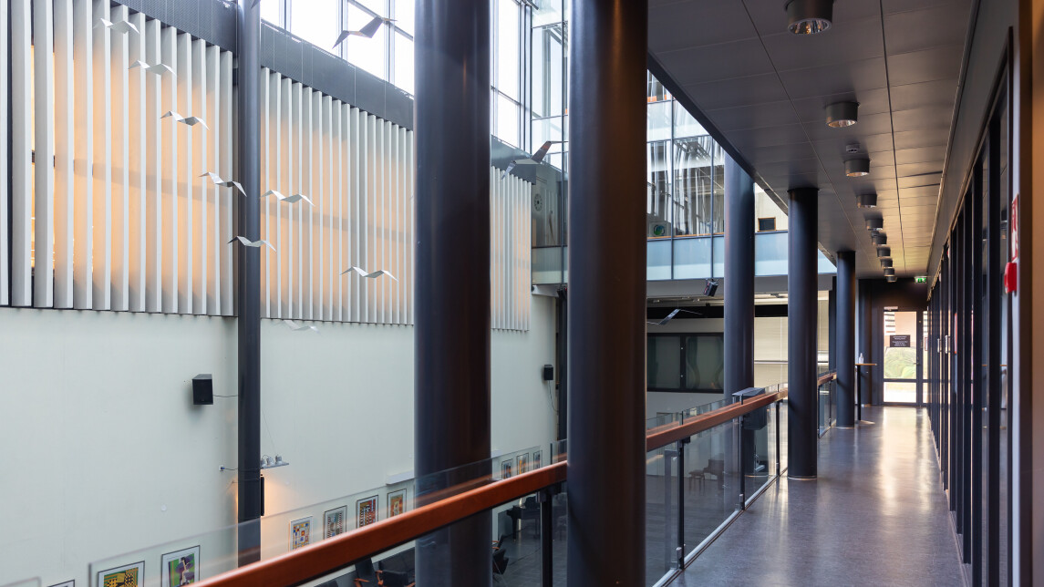 Turun kauppakorkeakoulu