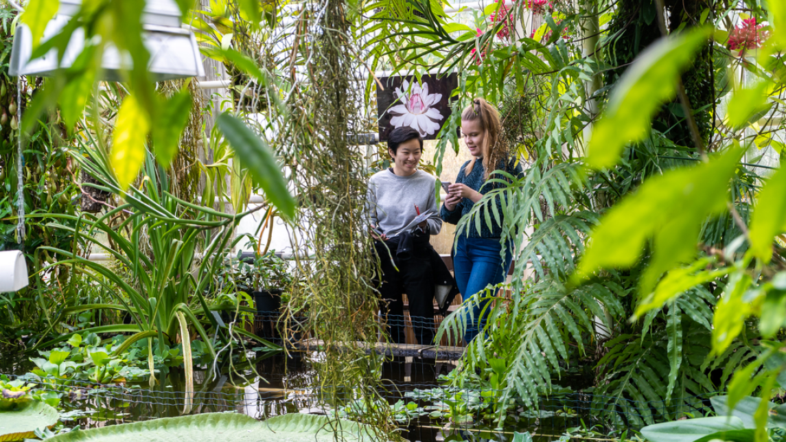 Kävijöitä Ruissalon kasvitieteellisen puutarhan kasvihuoneella