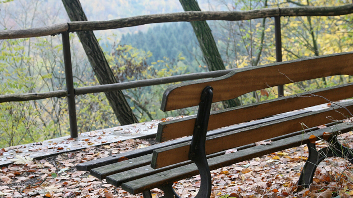 Penkki jyrkäneteen reunalla, maassa syksyn ruskeita lehtiä, penkin edessä on aita