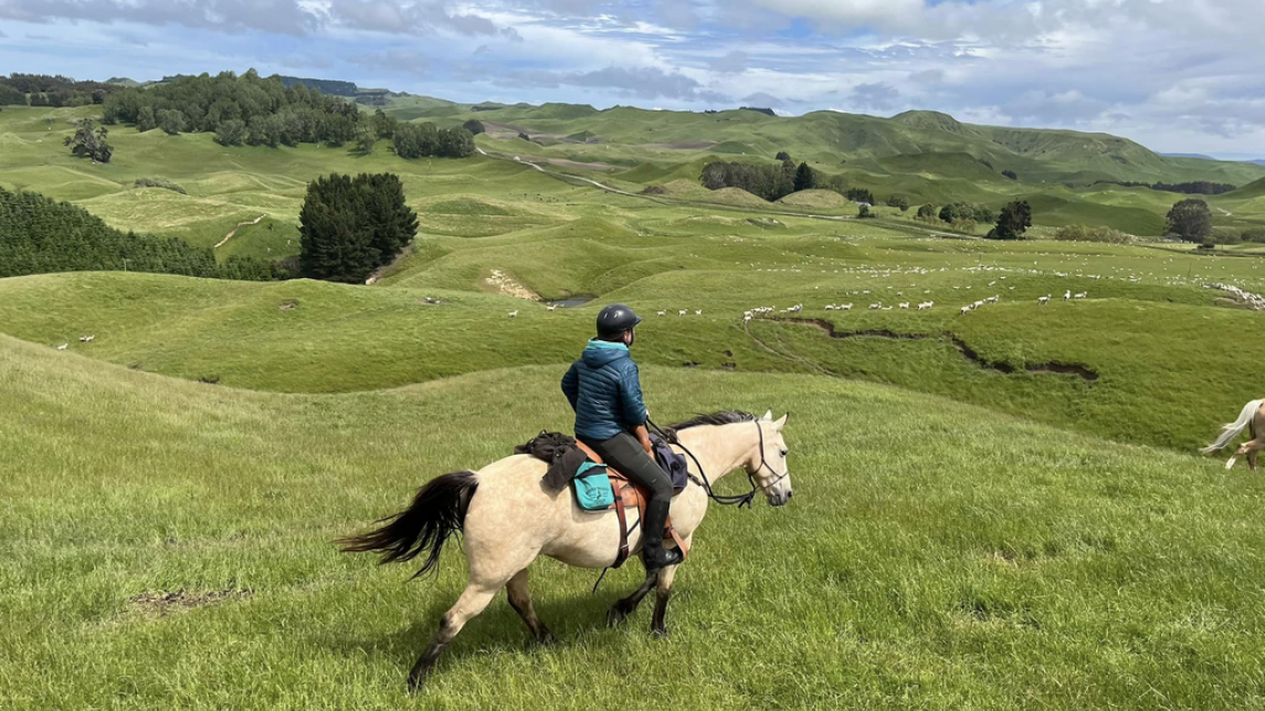ratsastaja hevosen selässä vehreällä nummella, kirkas sää ja taustalla sininen taivas ja valkoisia pilviä
