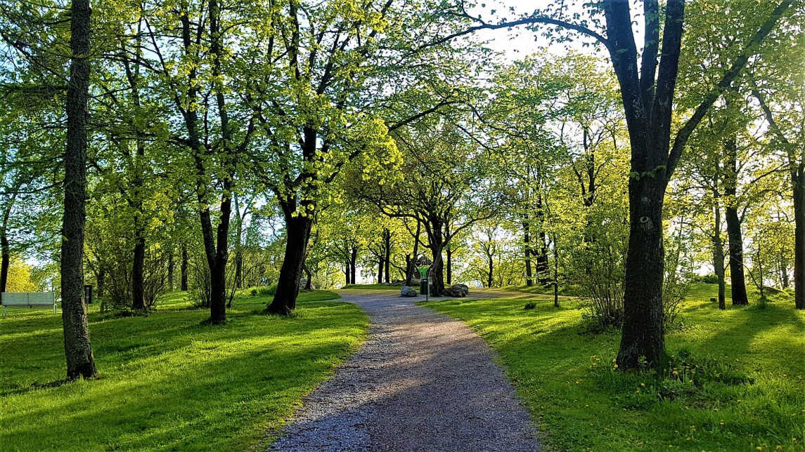 Puisto polkuineen Turussa.