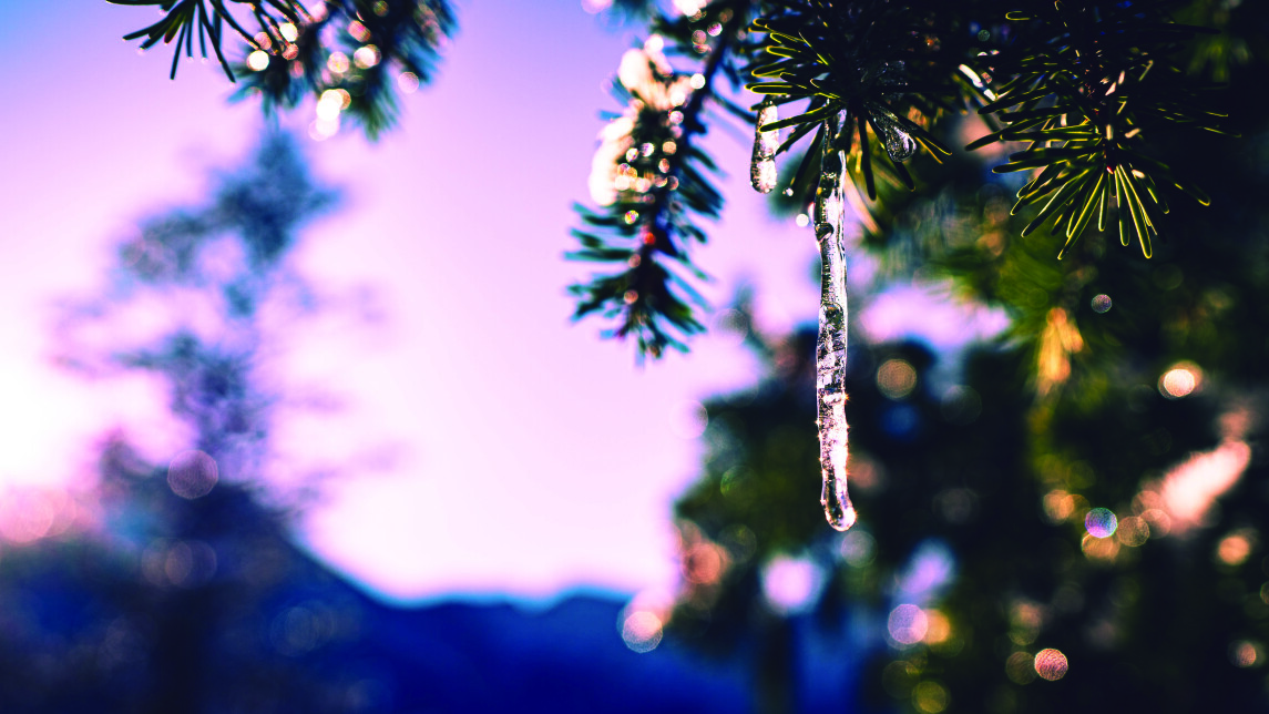 Kuvituskuva jäinen oksa