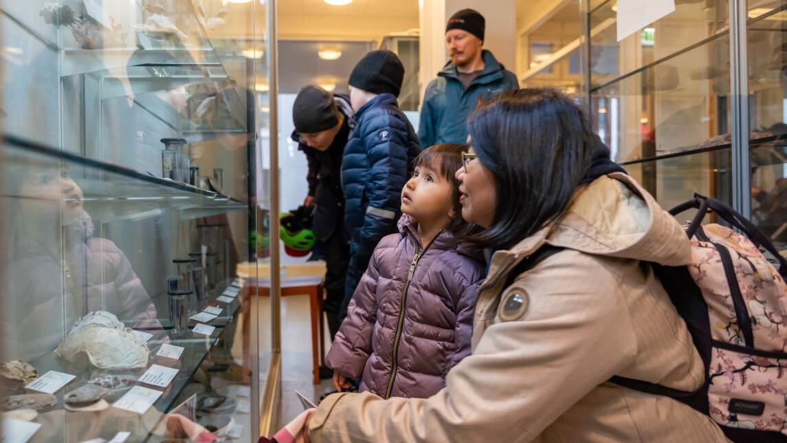 Ihmisiä eläinmuseossa katsomassa vitriinissä olevia kokoelmia, etualalla lapsi ja aikuinen.