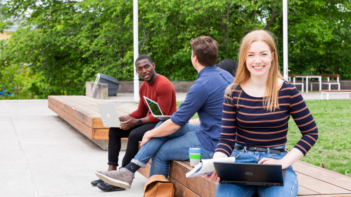 Kolme nuorta ihmistä istuu Yliopistonmäen penkeillä aurinkoisena päivänä.