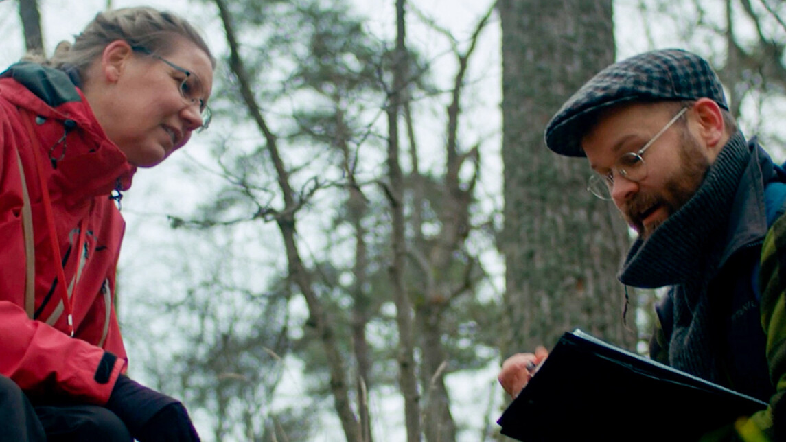 brändivideon kansikuva