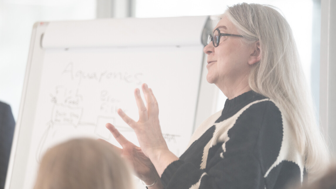 Henkilö pitämässä esitelmää fläppitaulun edessä