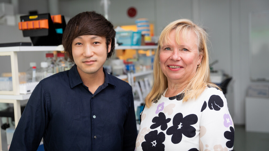 Akira Tadeka ja Sirpa Jalkanen (1)