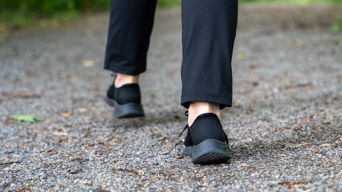 UUTISKUVA luonto ulkoilu 3