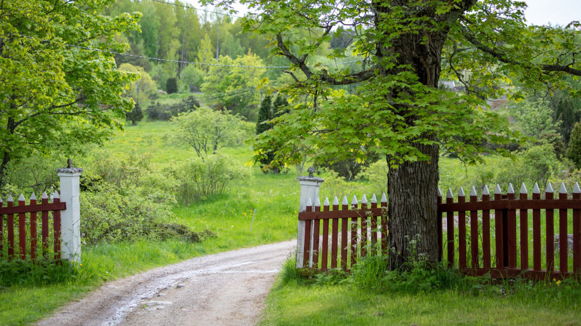 UUTISKUVA seili kesa 2021 26