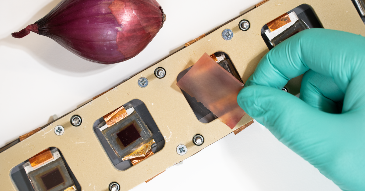 Nanocellulose treated with red onion dye provides UV protection for PV cells