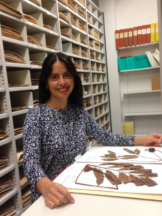 Glenda Cárdenas Ramírez profiilikuva