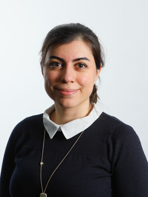 Elnaz Fazeli profile picture