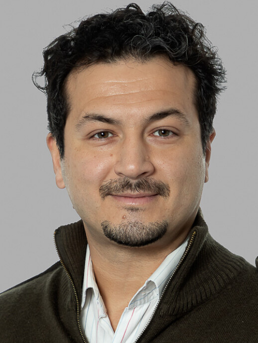 Andrea Trotta profile picture