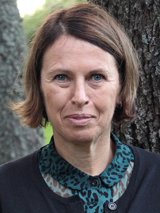 Kristiina Heikinheimo profile picture