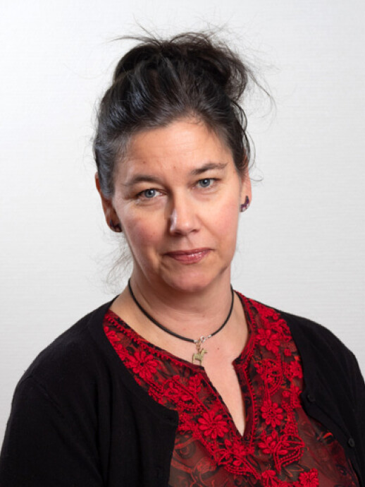 Laura Puolamäki profile picture