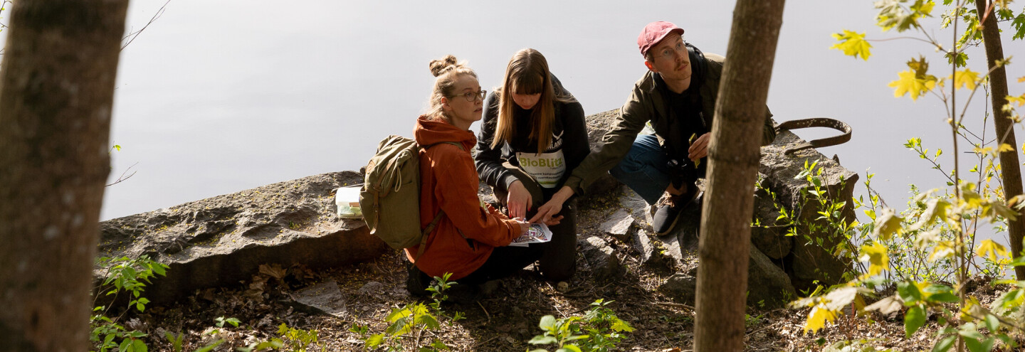 Bioblitz lepakkokartoittajat