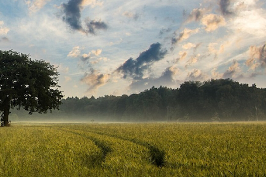 Opintojaksokuva Sote-akatemia Alkoholin riskikäytön puheeksiotto