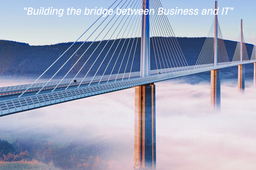 International Master in Management of IT IMMIT