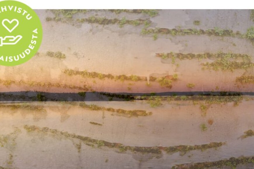 Moniammatillisen yhteistyön perusteet