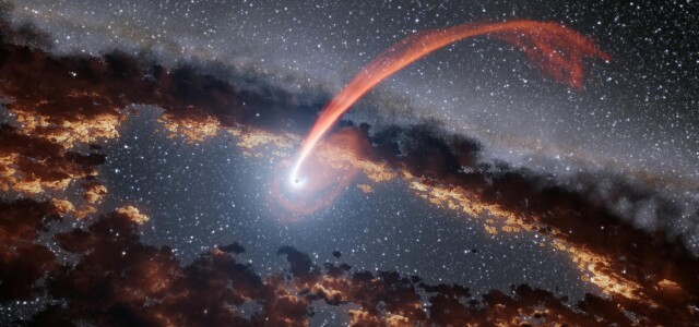 Infrared Echoes of a Black Hole Eating a Star. 