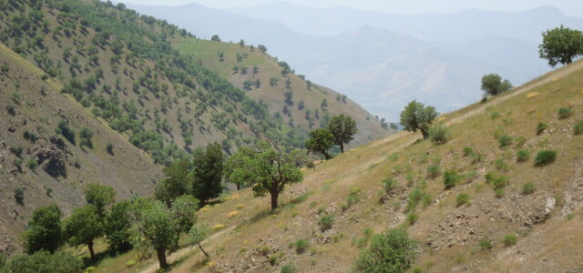Mawat, Zagrosin vuoristo / Mountains in Mawat