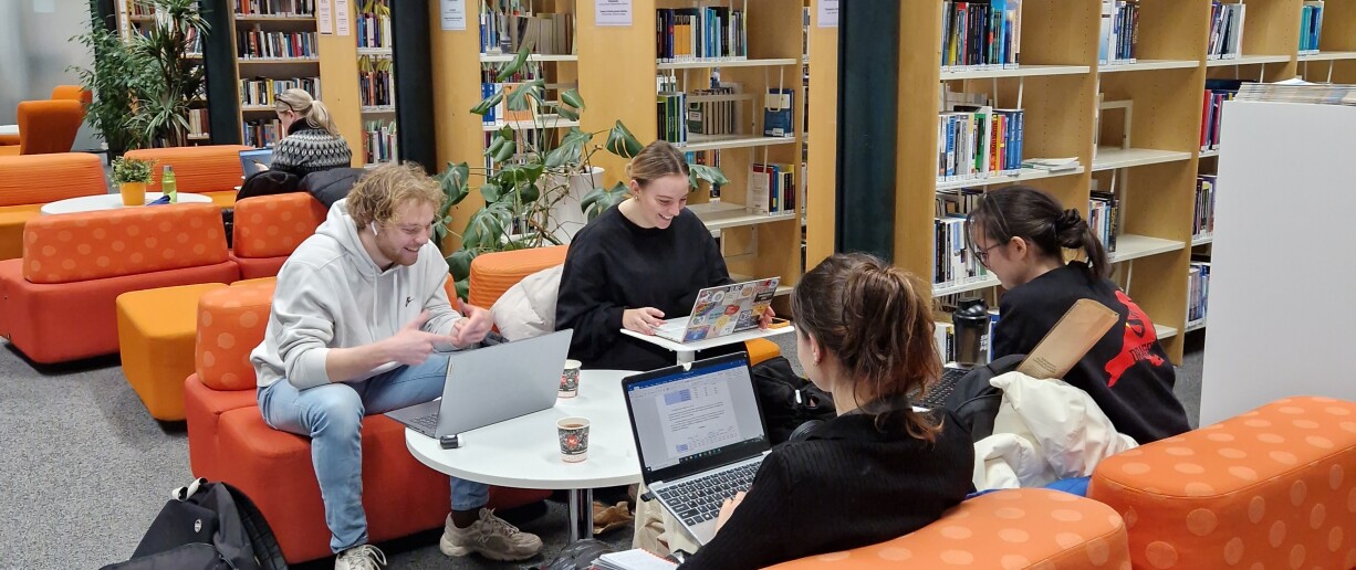 Opiskelua_kirjastossa_Pori