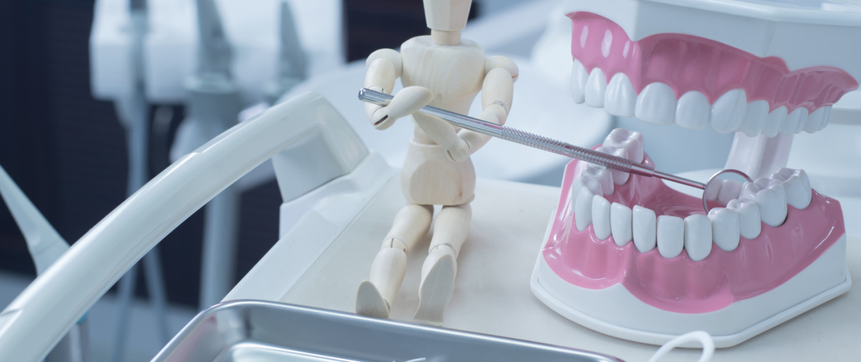 anatomy doll with teaching jaws and teeth and instruments