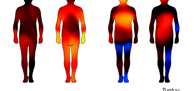 Kehokarttoja, joihin kuvattu väreillä tunteiden keholliset kokemukset