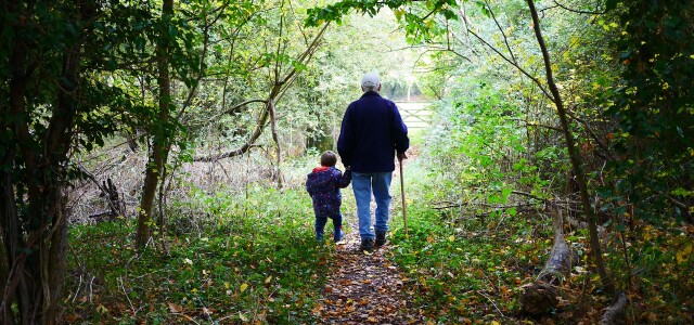 Kuvituskuva, jossa vanhus ja lapsi kävelevät käsikädessä metsäpolulla.