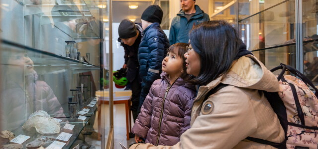 Ihmisiä eläinmuseossa katsomassa vitriinissä olevia kokoelmia, etualalla lapsi ja aikuinen.