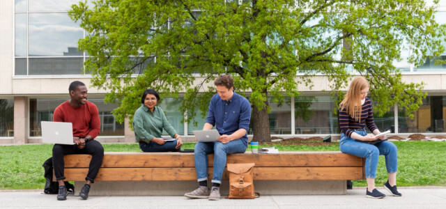 Ihmisiä istumassa ulkona penkillä, taustalla puu ja yliopiston Feeniks-kirjasto.