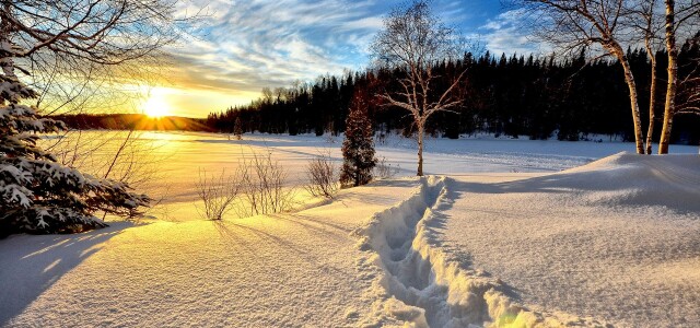 Kuvituskuva talvimaisemasta, jossa aurinko laskemassa horisonttiin. 