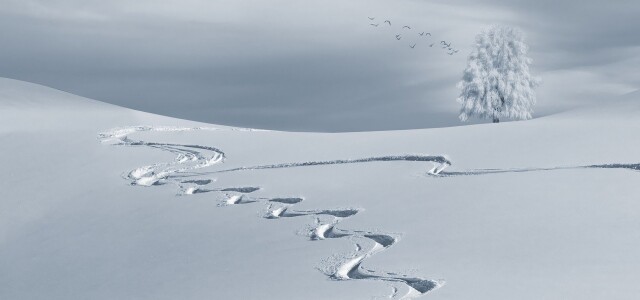 Luminen maisema, jossa kulkee mutkitteleva latu.