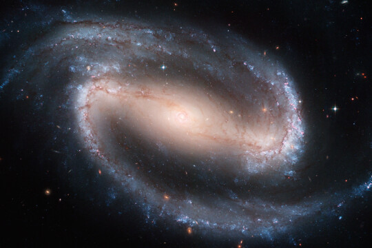 The Hubble telescope has captured a display of starlight, glowing gas, and silhouetted dark clouds of interstellar dust in this image of the barred spiral galaxy NGC 1300