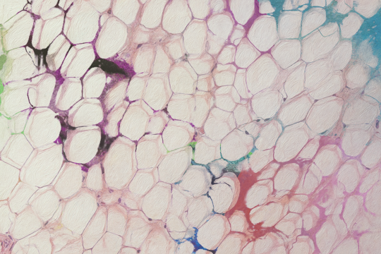 taiteellinen kuvaus rasvasolukosta