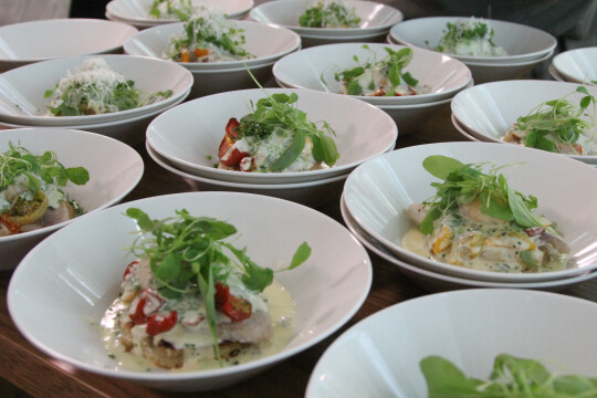 Lautasia, joilla ravintola-annokset