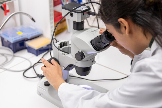 kuvituskuva laboratoriosta