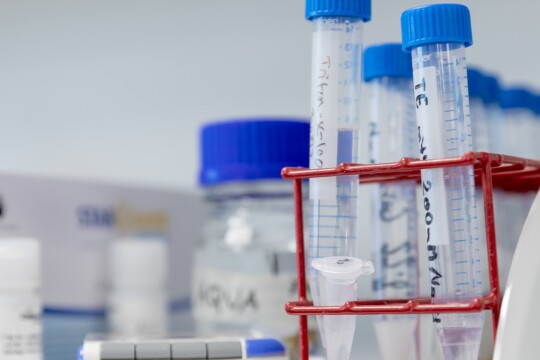 Laboratoriokuvitusta