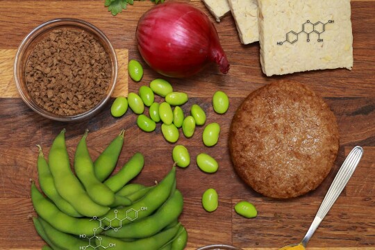 pöydälle aseteltuna, suoraan ylhäältä päin kuvattuna soijarouhetta, soijapavun palkoja, soijapapuja, punasipuli, tofuviipaleita, tuoretta korianteria, soijapihvi, soijakastikekulho ja pieni lusikka, jossa keltaista jauhetta