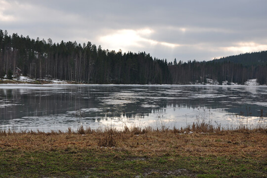 Nautajärven jäinen pinta helmikuussa 2014, jolloin talvi oli poikkeuksellisen leuto ja lumipeite harvinaisen ohut suuressa osassa Etelä-Suomea. 
