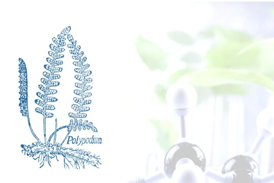 Tillandzia piirroskuva ja molekyylit taustalla