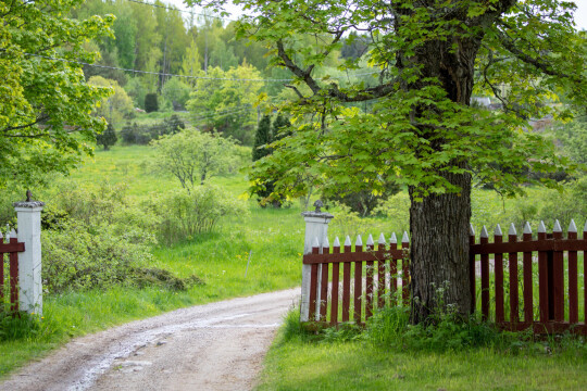 UUTISKUVA seili kesa 2021 26