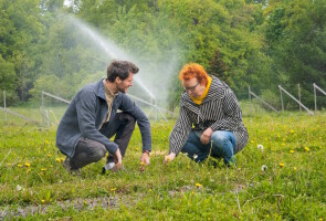 Benjamin Fuchs ja Marjo Helander katsovat kasveja kyykyssä nurmikolla, taustalla sadettaja.