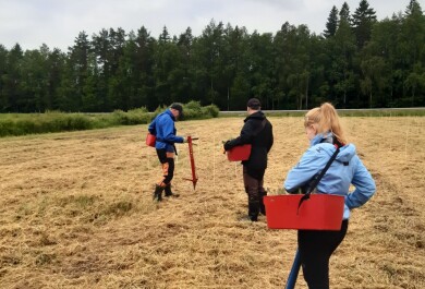 kolme henkilöä istuttaa niitetylle pellolle puuntaimia pilvisenä kesäpäivänä
