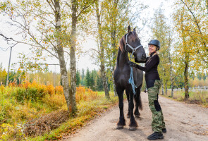 A woman is standing with a horse on a road in the autumn.