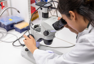 kuvituskuva laboratoriosta