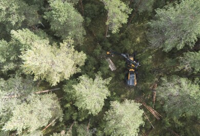 lintuperspektiivistä kuvattu kuva metsästä, jossa työskentelee hakkuukone