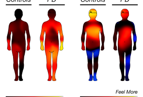 Bodily maps showing emotions as colours